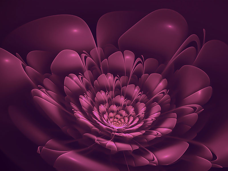 Chakras - Programme Connaissance de Soi